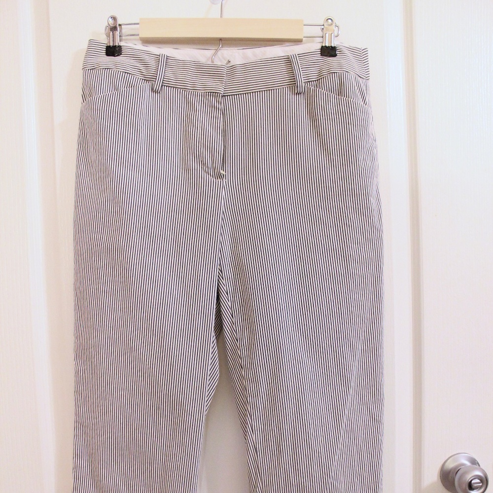 Talbots Blue and White Striped Hampshire Ankle Size 6 Curvy